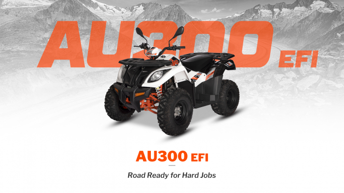 KAYO - ATV  AU300 inmatriculabil T3b [1]