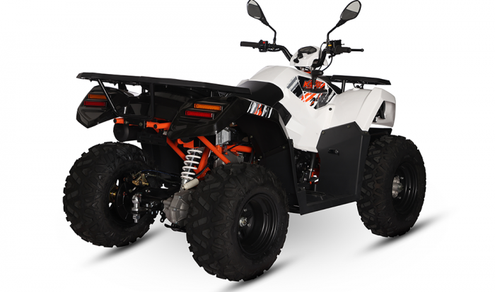 KAYO - ATV  AU300 inmatriculabil T3b [6]