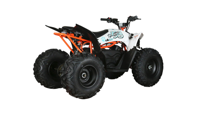 KAYO - ATV copii eA110 2x4 [electric] [6]