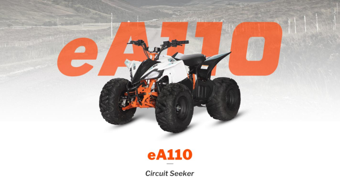 KAYO - ATV copii eA110 2x4 [electric] [1]