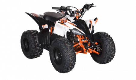 KAYO - ATV AT125 [7]