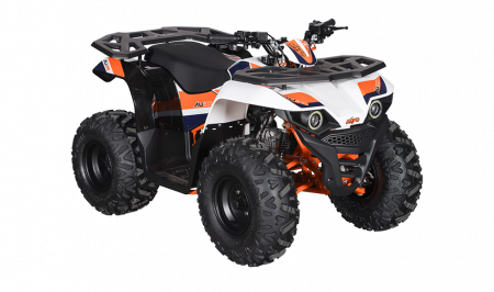 KAYO - ATV AU125 [7]