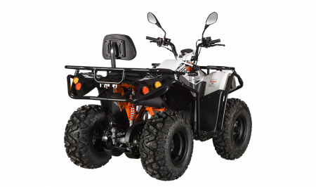 KAYO - ATV  AU200 inmatriculabil T3b [5]