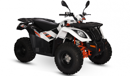 KAYO - ATV  AU300 inmatriculabil T3b [7]