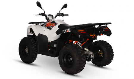KAYO - ATV  AU300 inmatriculabil T3b [3]