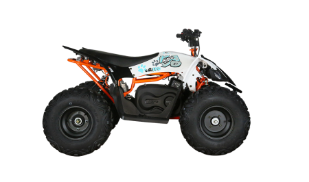 KAYO - ATV copii eA110 2x4 [electric] [6]