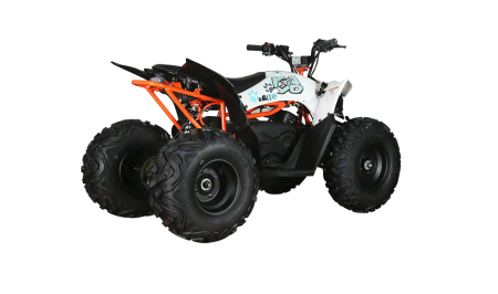 KAYO - ATV copii eA110 2x4 [electric] [5]