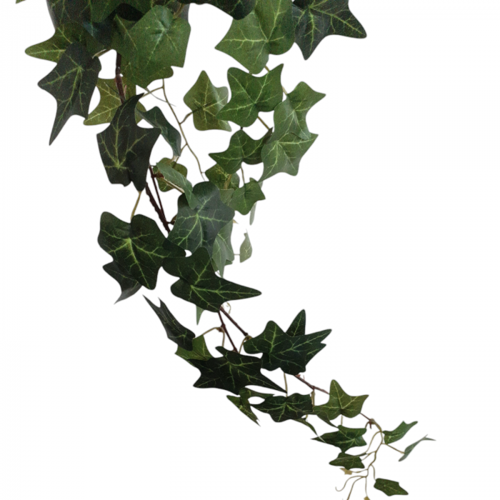 Iedera curgatoare artificiala in ghiveci [2]