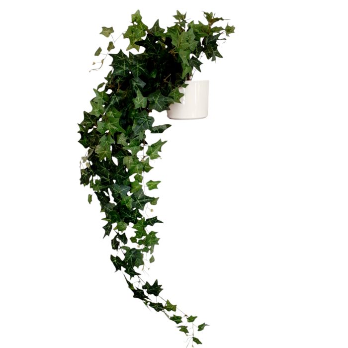 Iedera curgatoare artificiala in ghiveci [3]