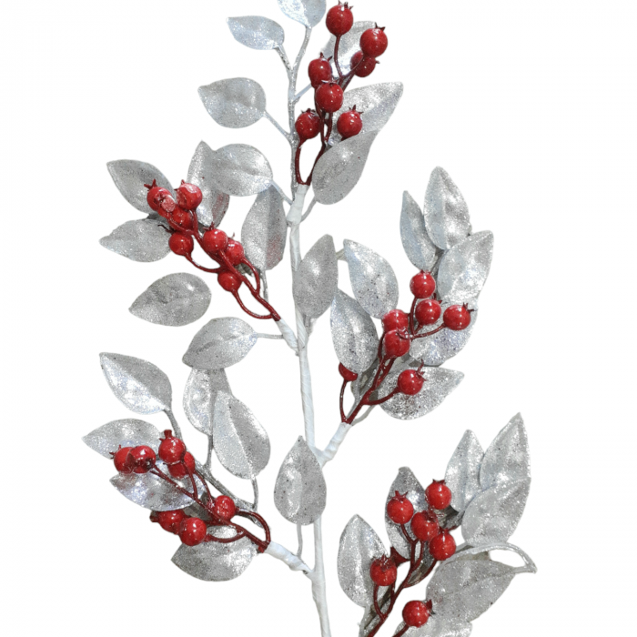 Crenguta frunze argintiu cu bobite rosii [2]