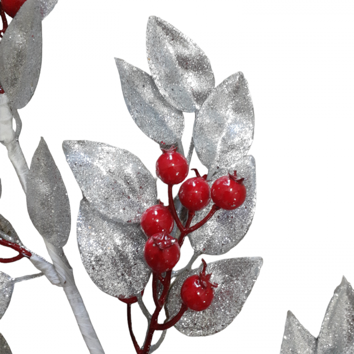 Crenguta frunze argintiu cu bobite rosii [3]