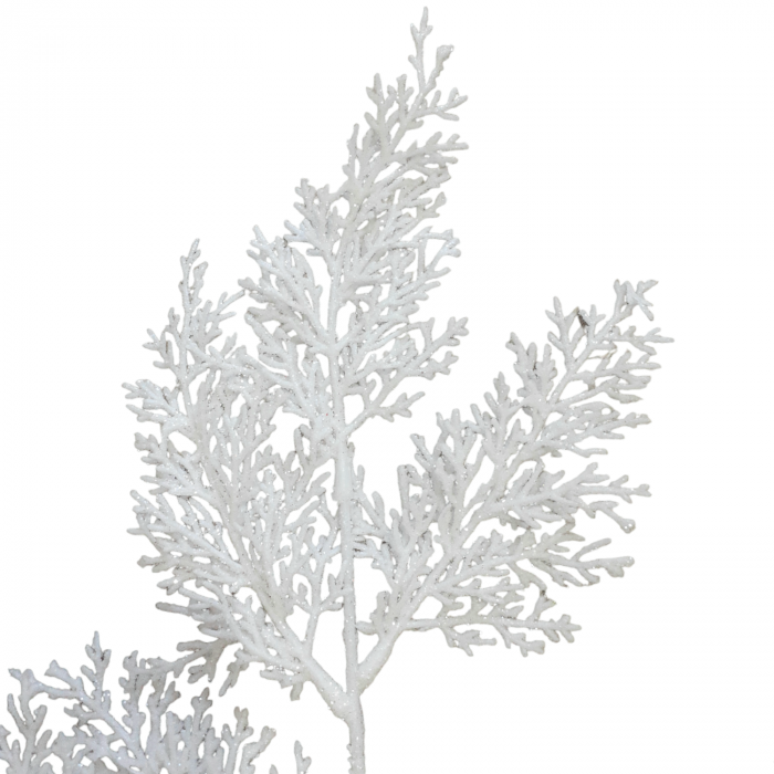 Crenguta tuia alb_60 cm [3]