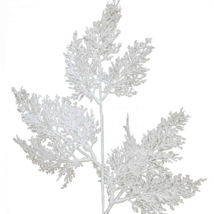 Crenguta tuia alb_60 cm [2]