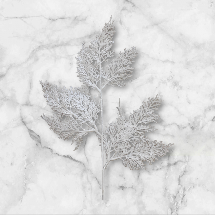 Crenguta tuia alb_60 cm [5]