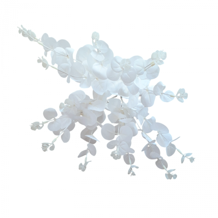 Eucalipt artificial frunze alb_ 48 cm [2]