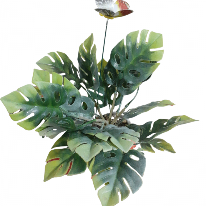 Planta decorativa verde cu ghiveci alb 25 cm [2]