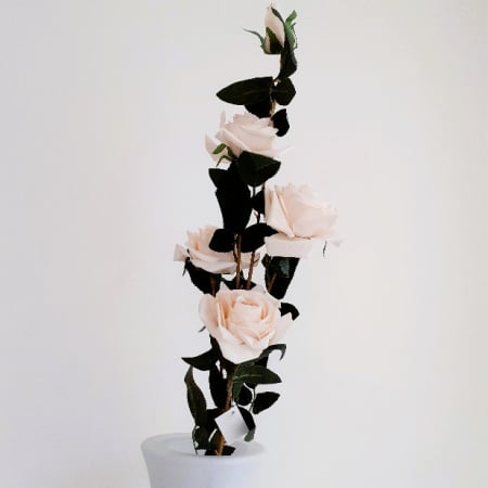 Fir trandafir alb roze 110 cm_1 [5]