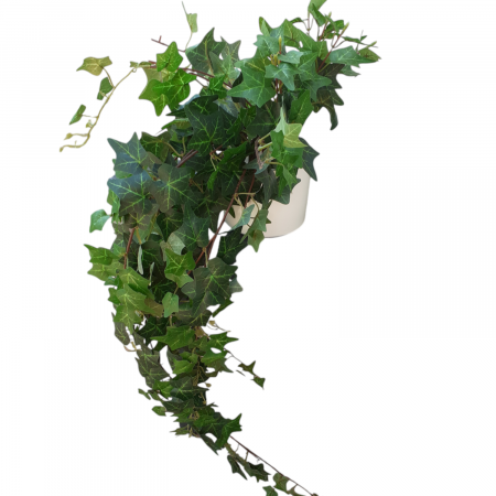 Iedera curgatoare artificiala in ghiveci [9]