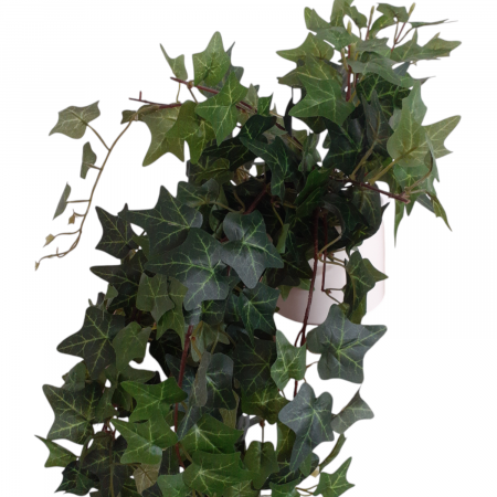 Iedera curgatoare artificiala in ghiveci [4]