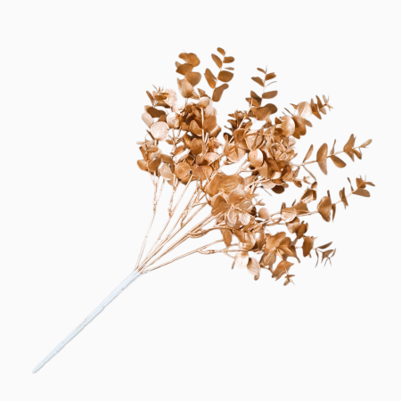 Buchet eucalipt auriu, 38 cm, 7 ramuri [2]