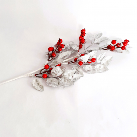Crenguta frunze argintiu cu bobite rosii [3]