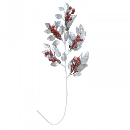 Crenguta frunze argintiu cu bobite rosii [0]