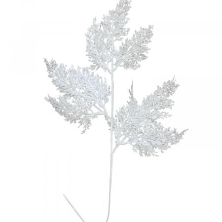 Crenguta tuia alb_60 cm [0]