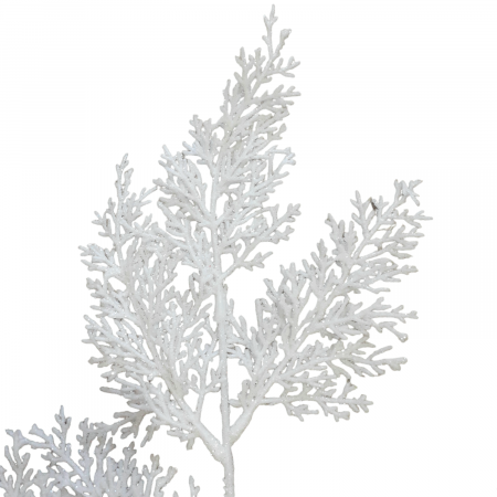 Crenguta tuia alb_60 cm [2]