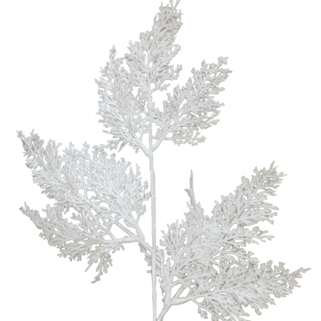 Crenguta tuia alb_60 cm [1]