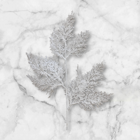 Crenguta tuia alb_60 cm [4]