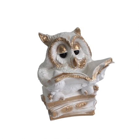 Elemente decorative pentru casa - Decoratiune bufnita pusculita