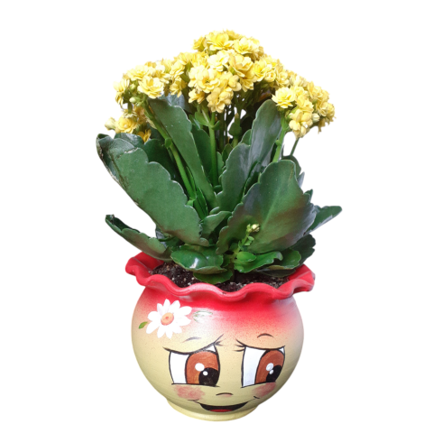 Ghiveci zambitor pentru flori [9]
