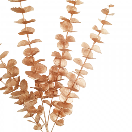 Frunze artificiale eucalipt auriu 85 cm_1 [2]