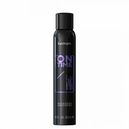 Kemon Style - On Time - Sampon uscat 250 ml