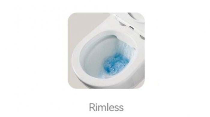 Set Vas WC suspendat Rimless si Capac SoftClose cu Vas Bide [6]