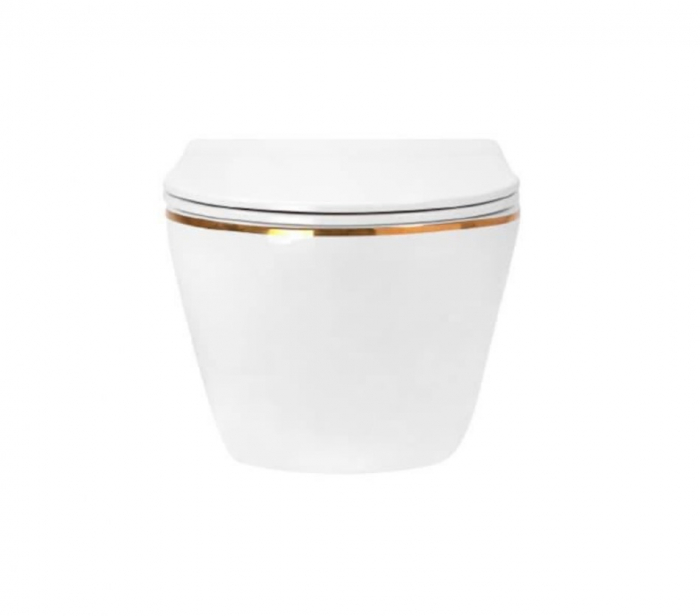 Set Vas WC suspendat Rimless si Capac SoftClose Gold [2]