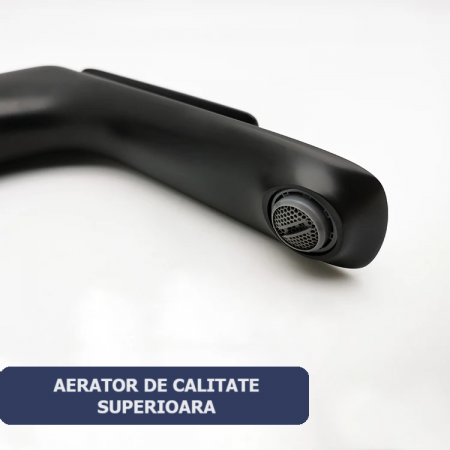 Baterie lavoar inaltata, alama, kit instalare inclus, negru RV7401HB [6]