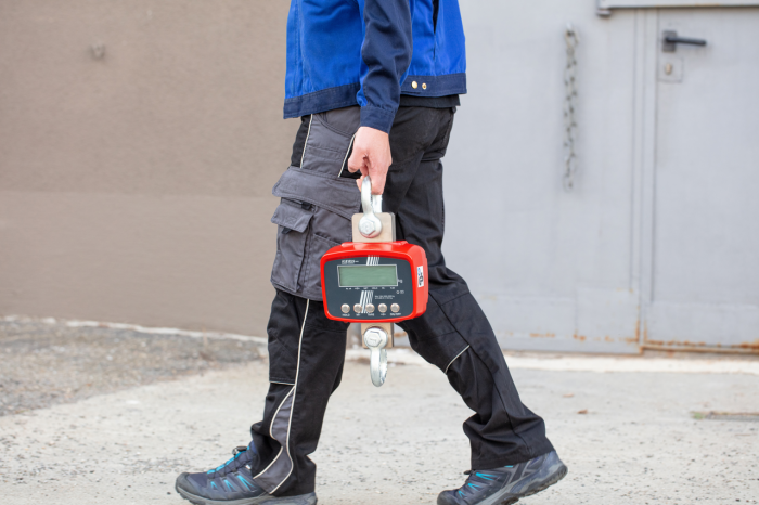 Cantar cu carlig KERN HFD 6T-3M imagine principala [4]