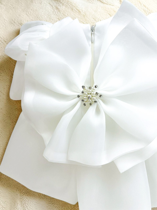 Rochie din organza cu perle Olga [4]