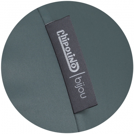 Carucior sport Chipolino Bijou pastel green [7]