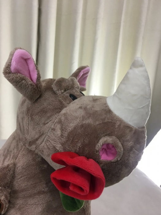 Jucarie de plus, Rinocerul Rosie, Maro, 50 cm [7]