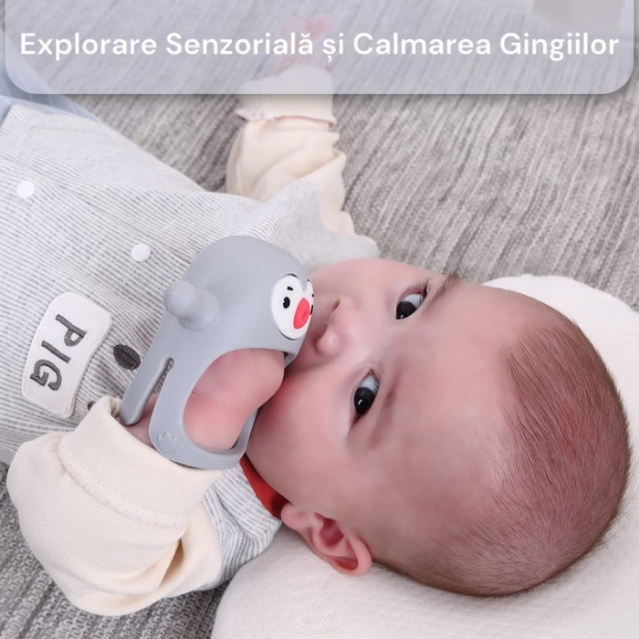 Suzeta pinguin, silicon alimentar, fara BPA, 0-12 luni, Gri [4]