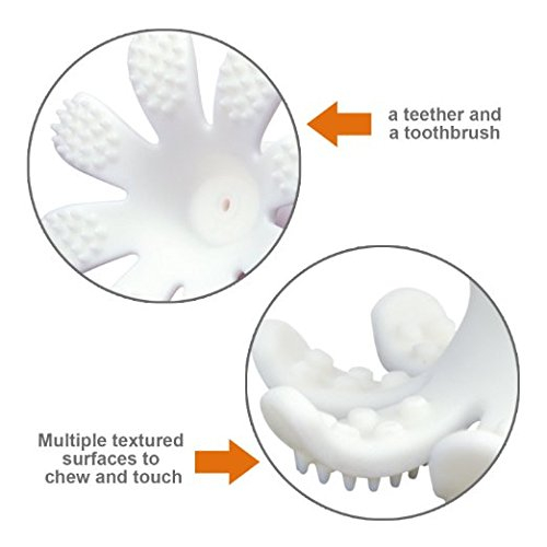 INEL GINGIVAL DIN SILICON, MOMBELLA - OCTOPUS ORANGE [4]