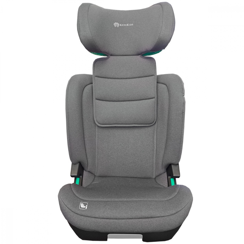 Scaun auto Appekids, I-SIZE, 100 -150 cm, Q-Fix - Grey [3]