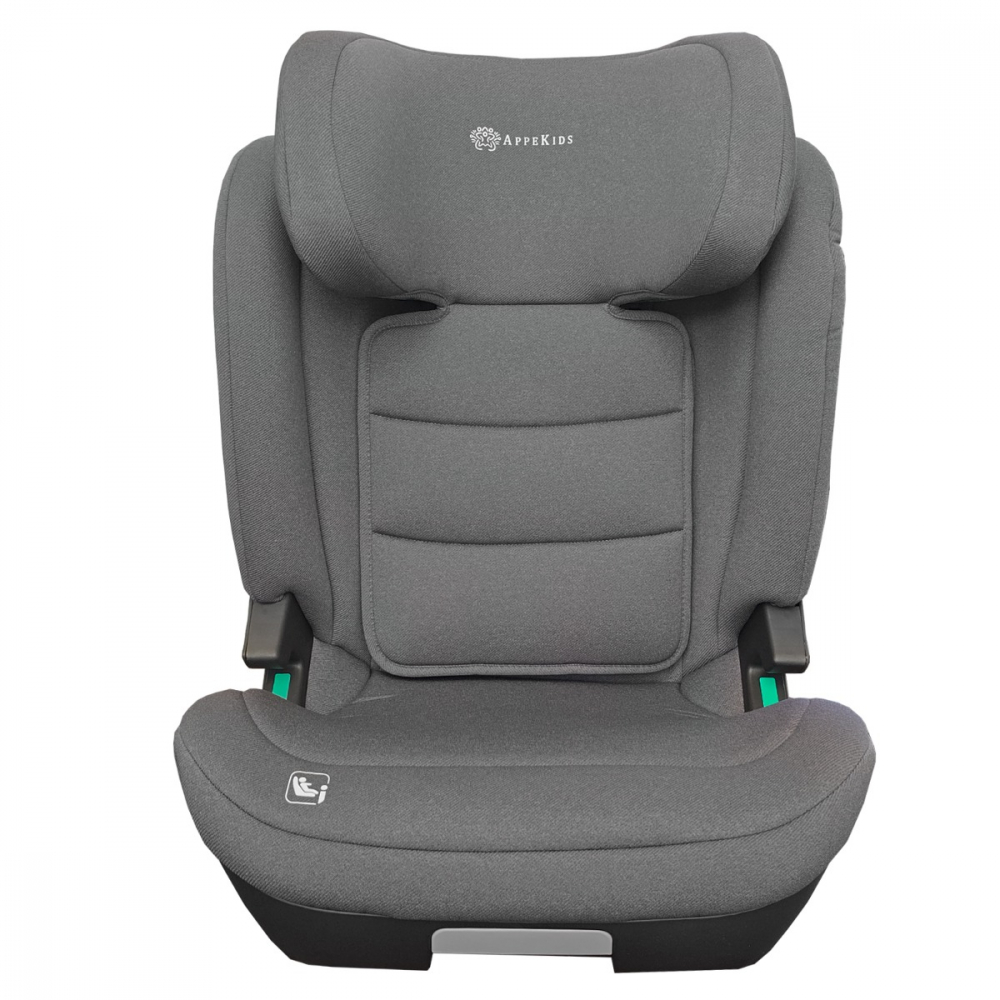 Scaun auto Appekids, I-SIZE, 100 -150 cm, Q-Fix - Grey [4]