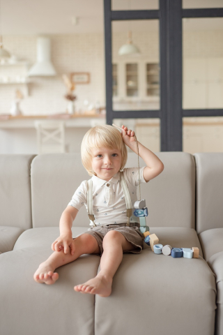 Joc de Indemanare din lemn, Cubika, Pestisori - Pastel [1]