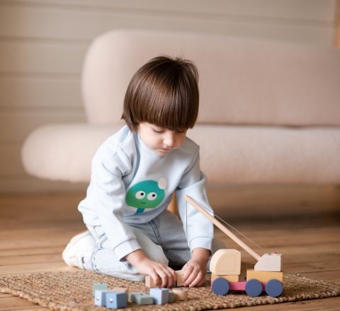 Jucarie din lemn, Cubika, Macara Magnetica - Pastel [4]