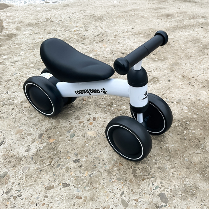 Premergator si bicicleta fara pedale, LoveLy Bike pentru copii 18-30 luni, roti EVA, alba [8]