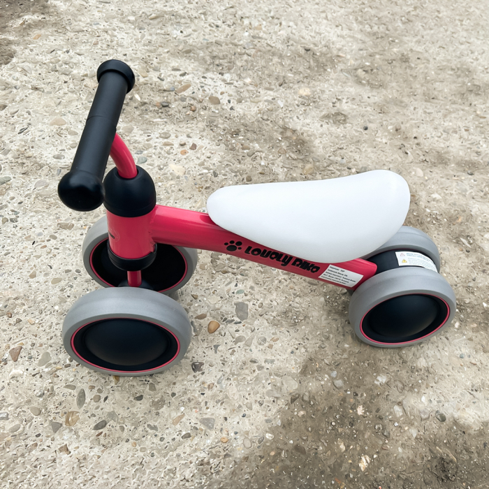 Premergator si bicicleta fara pedale, LoveLy Bike pentru copii 18-30 luni, roti EVA, roz [6]