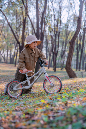 Bicicleta de echilibru pentru copii Kinderplay Explorer Bike, 2-5 ani, roti moi din spuma 12inch, bej [14]